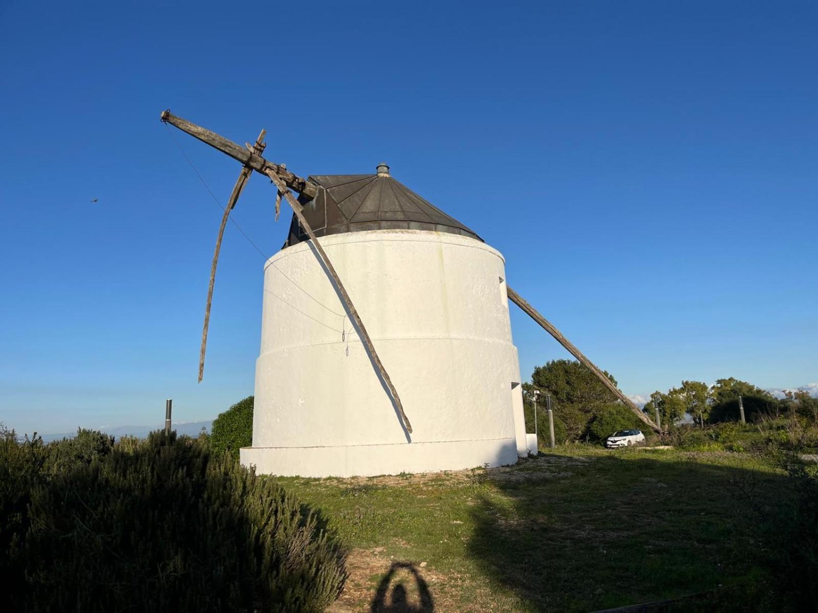 Estudio Los Mellis Vejer de la Frontera Exterior foto